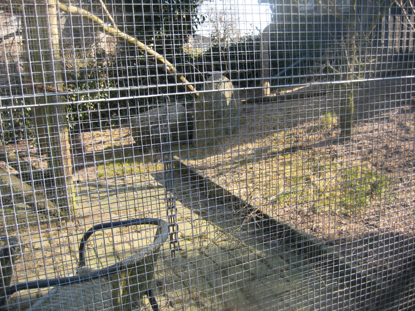 Dyreparken NBV - Housecat exhibit