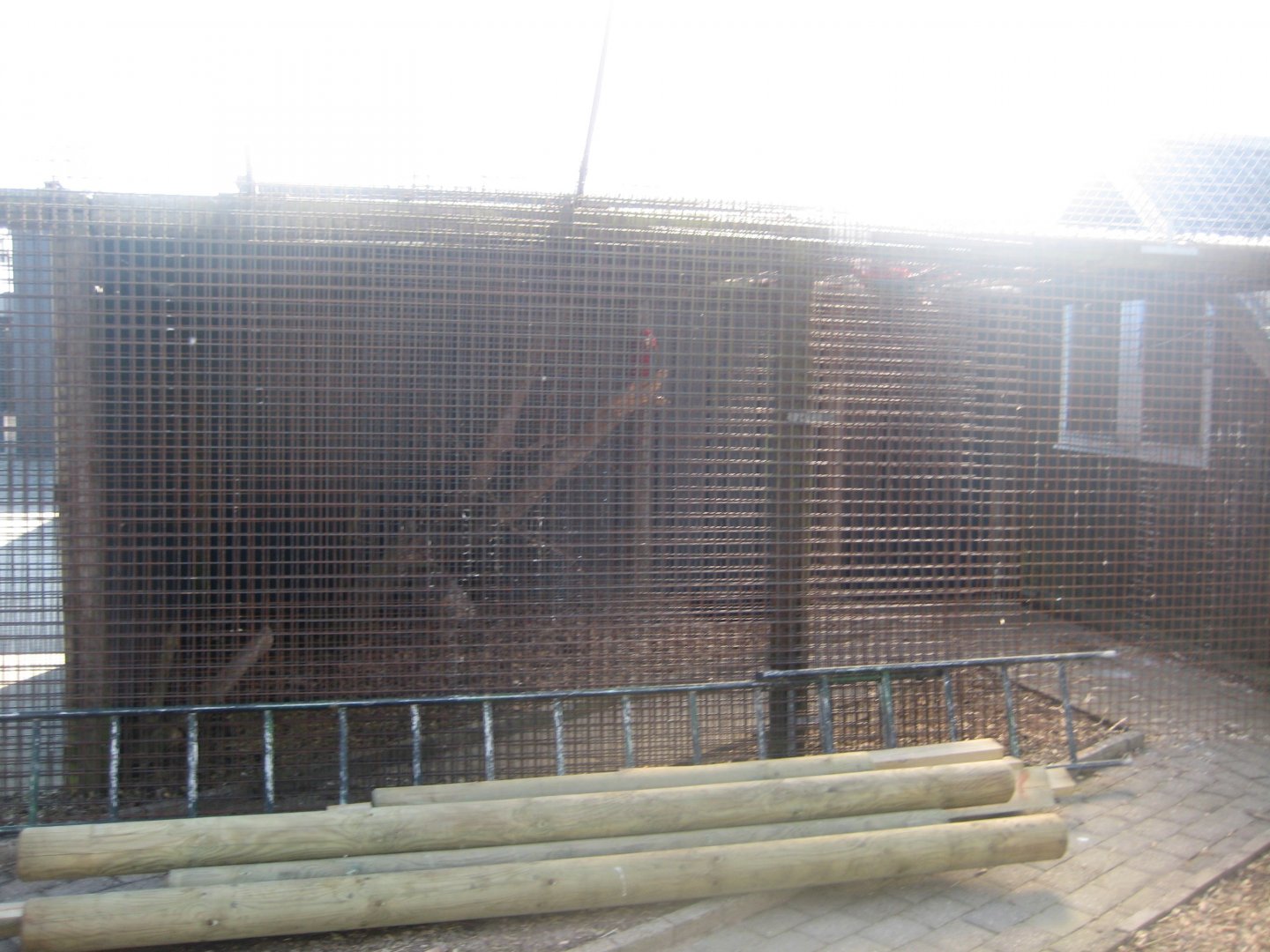 Dyreparken NBV - Macaw aviary