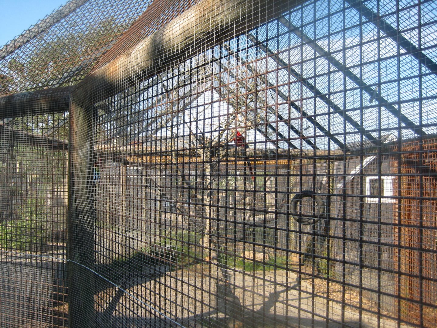 Dyreparken NBV - Macaw aviary