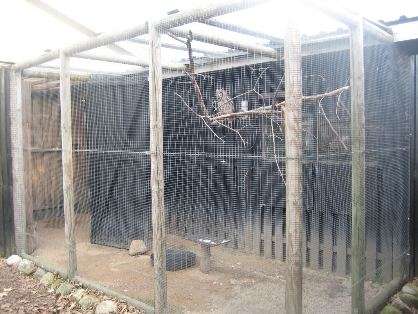 Dyreparken NBV - Owl aviary