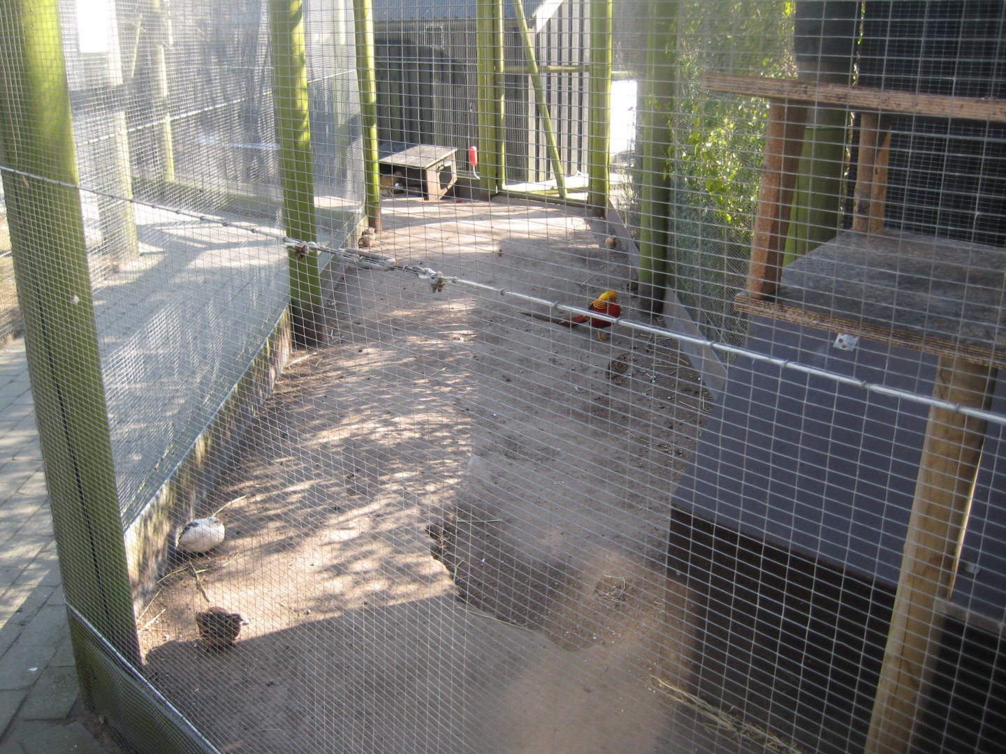 Dyreparken NBV - Pheasant aviary