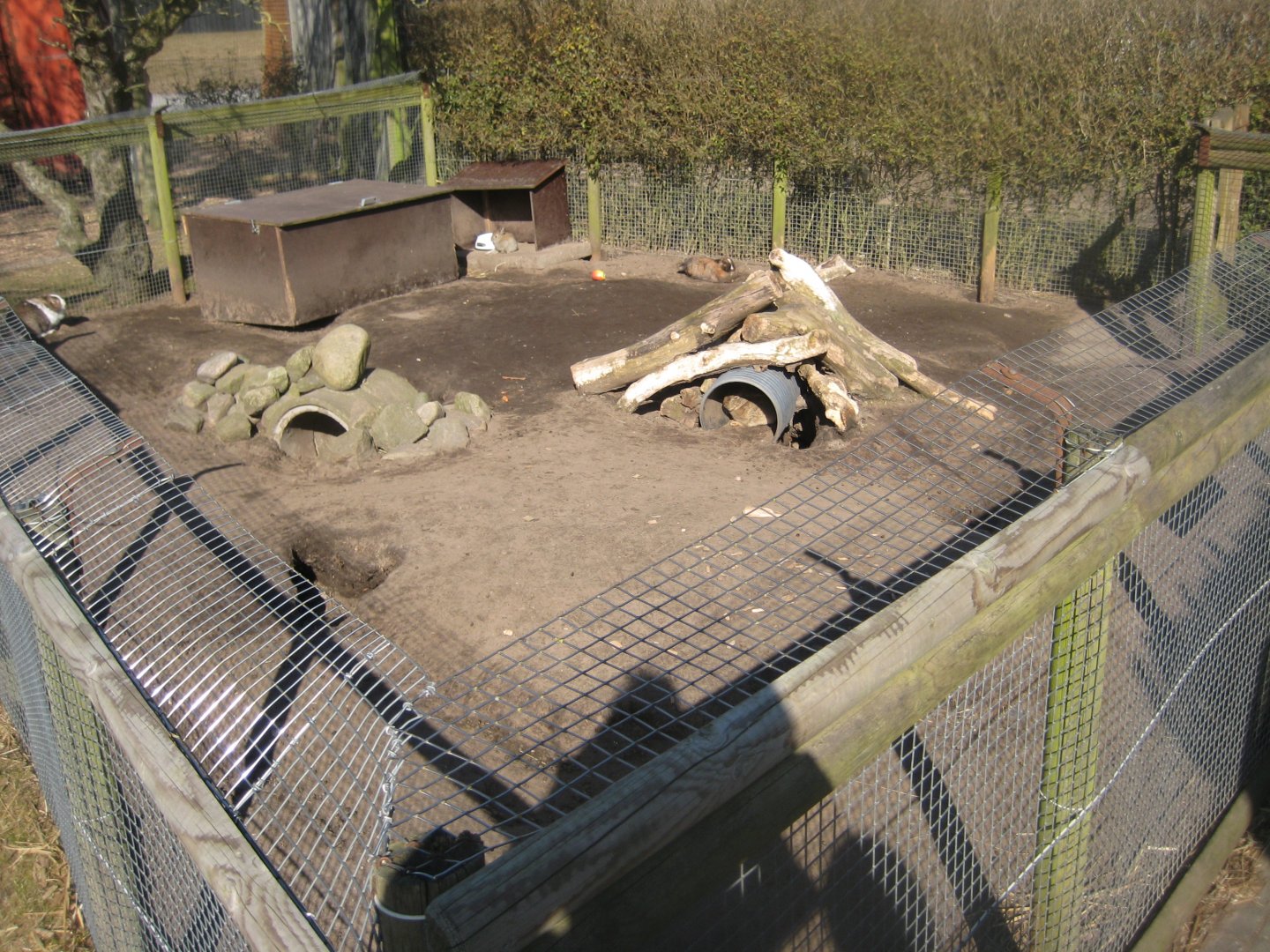 Dyreparken NBV - Rabbit exhibit