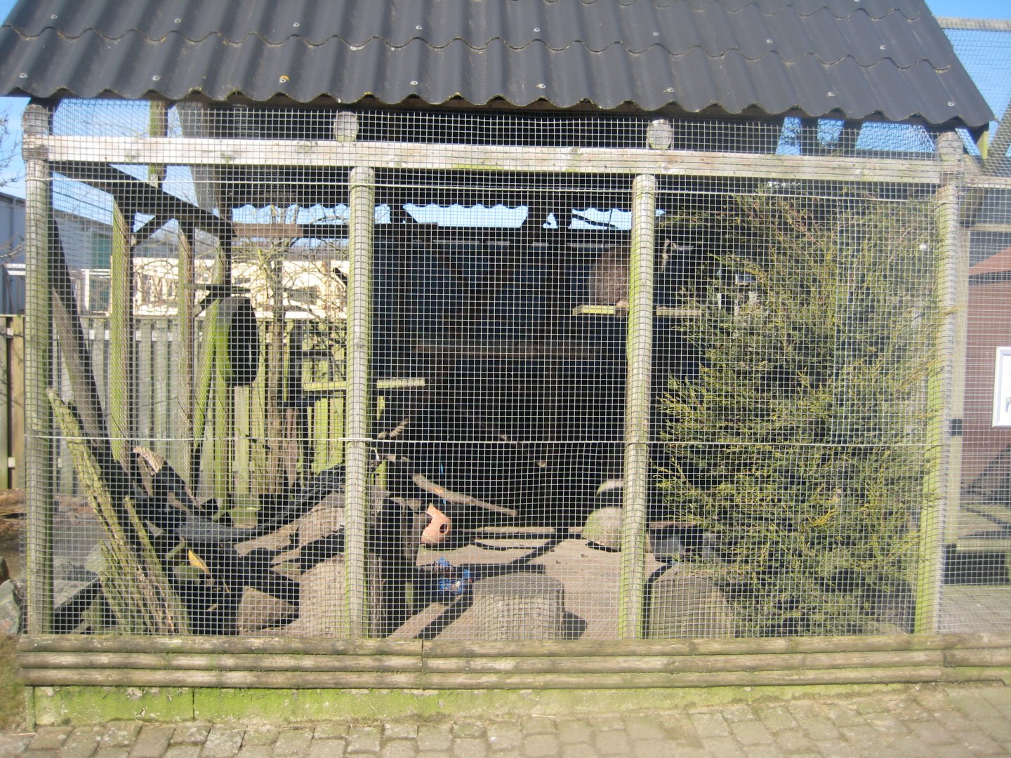 Dyreparken NBV - Raccoon exhibit