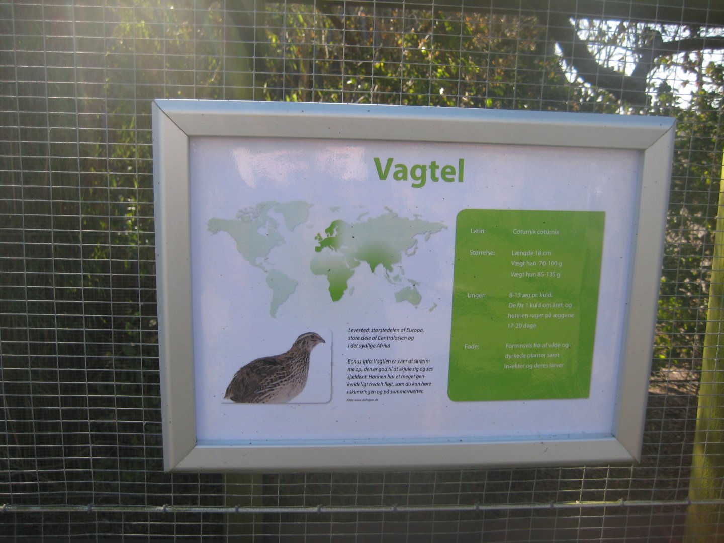 Dyreparken NBV - Signage example