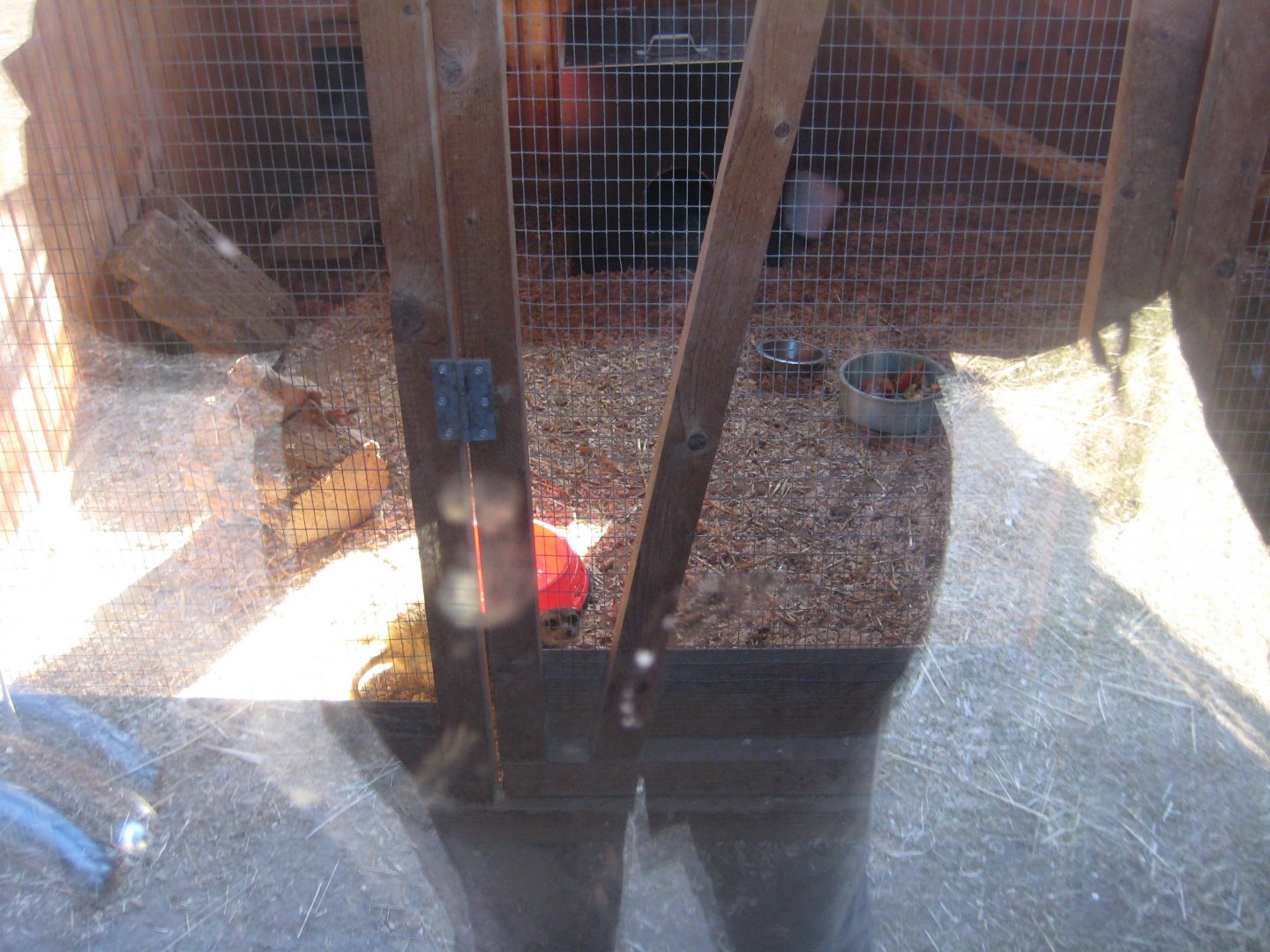 Dyreparken NV - Meerkat exhibit (indoors)