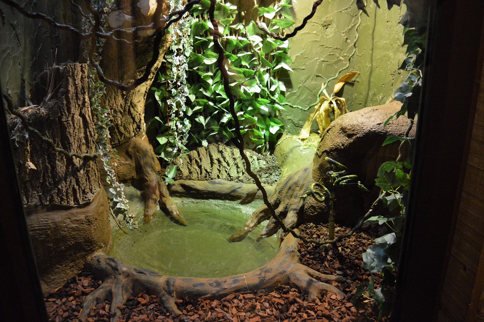 DZG reptile house
