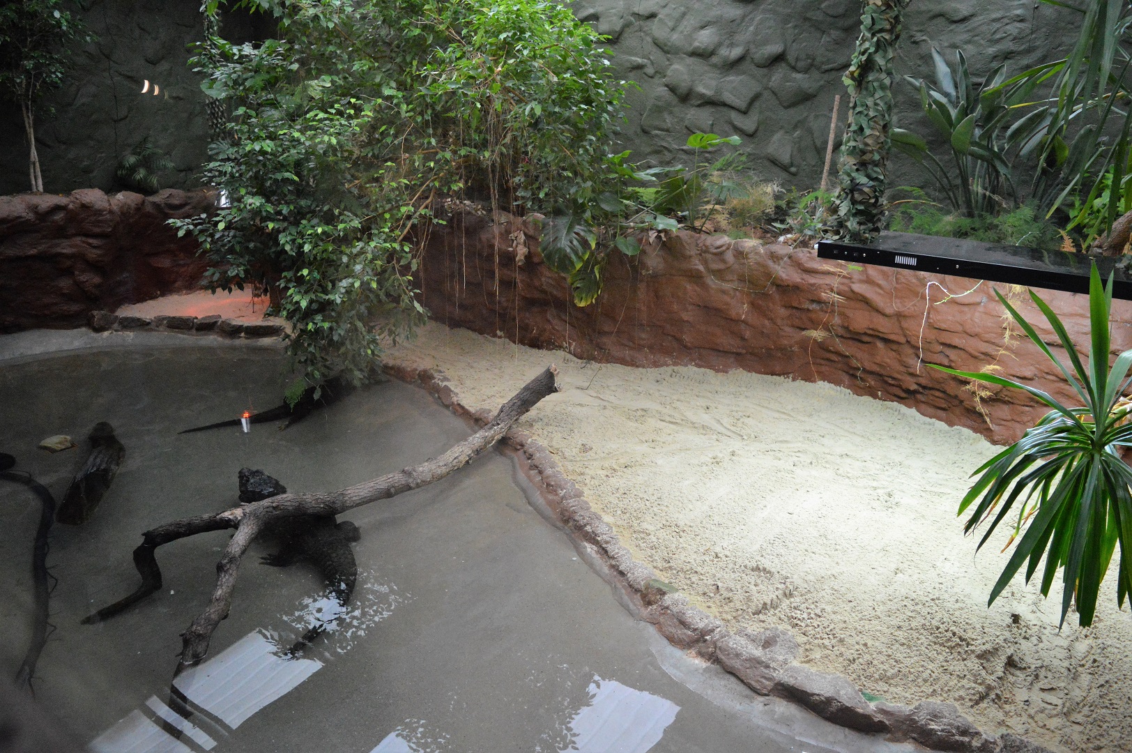DZG reptile house