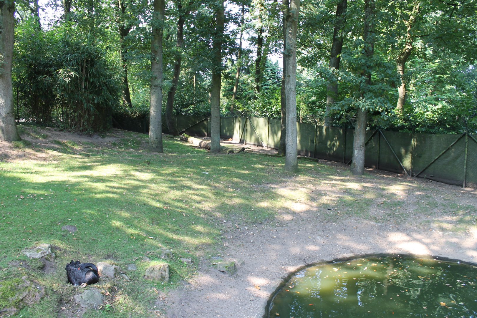 e Mixed Australian Enclosure