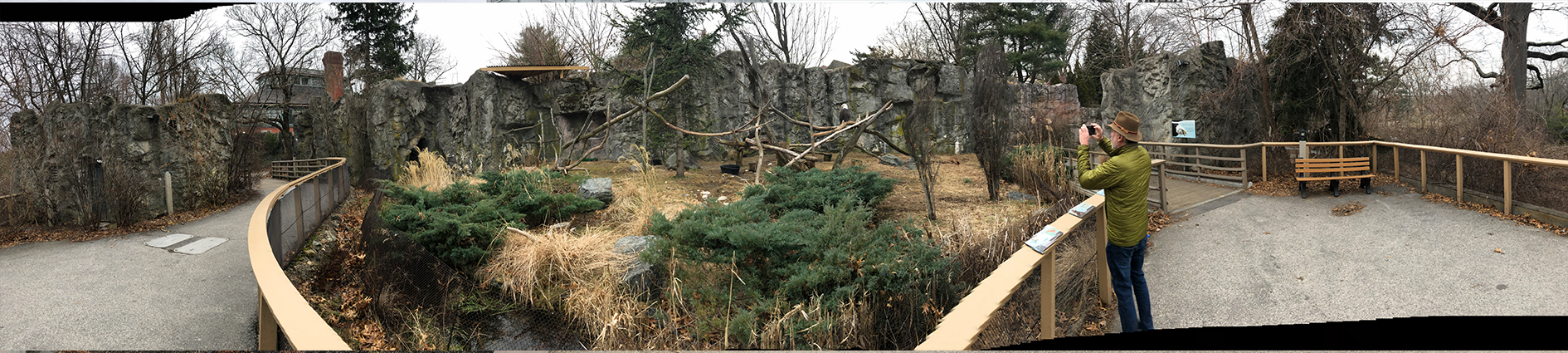 Eagle and Pronghorn Panorama - Feb, 2020