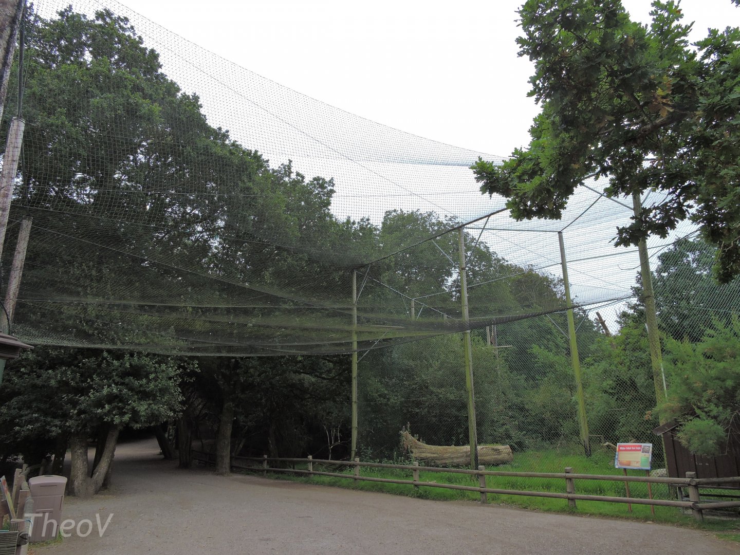 Eagle and seal aviary [2016]
