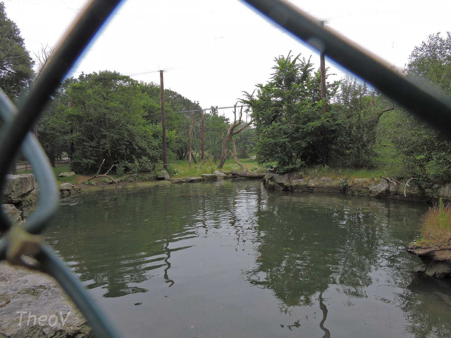 Eagle and seal aviary [2016]