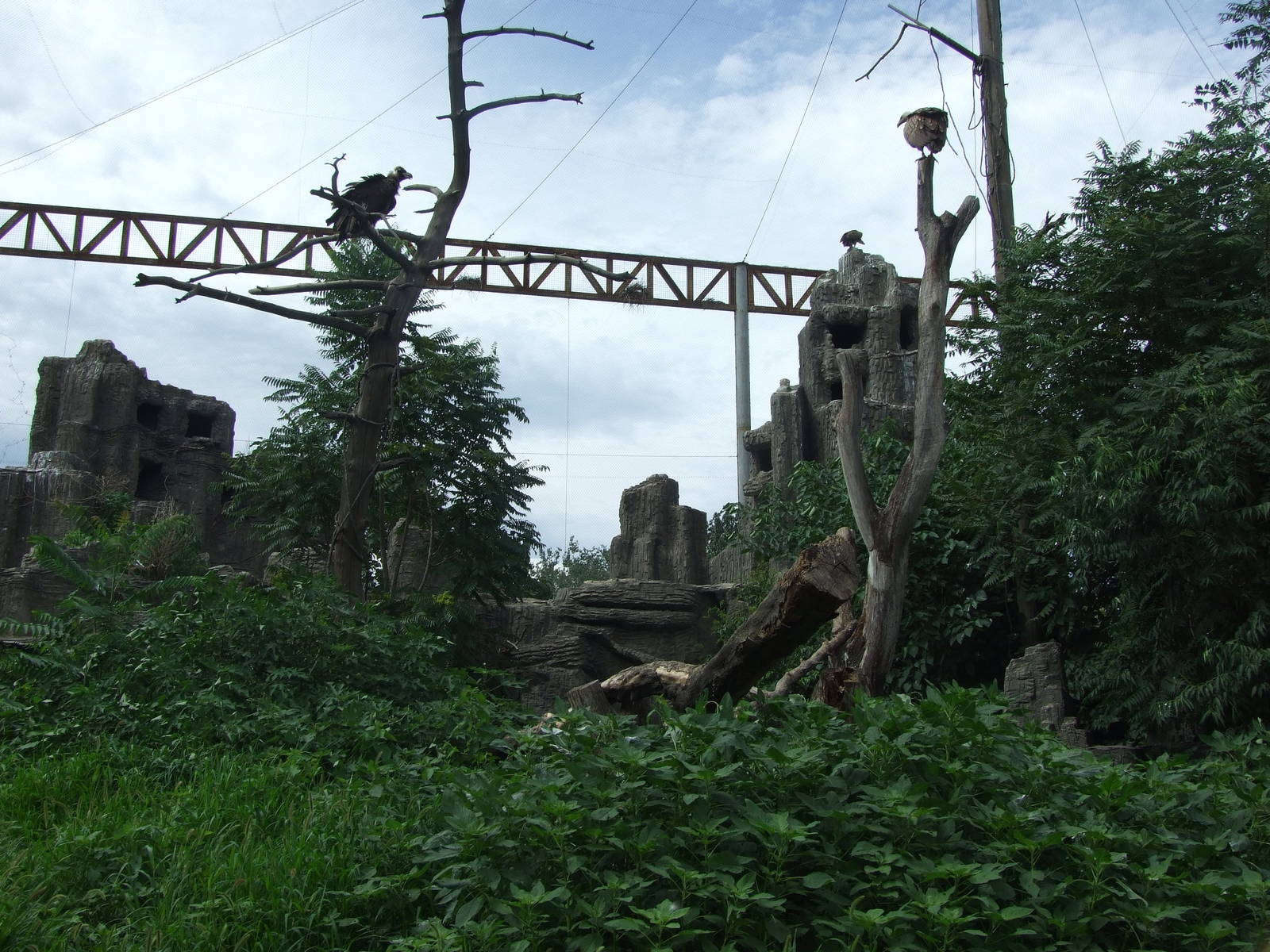 Eagle and vulture exhibit