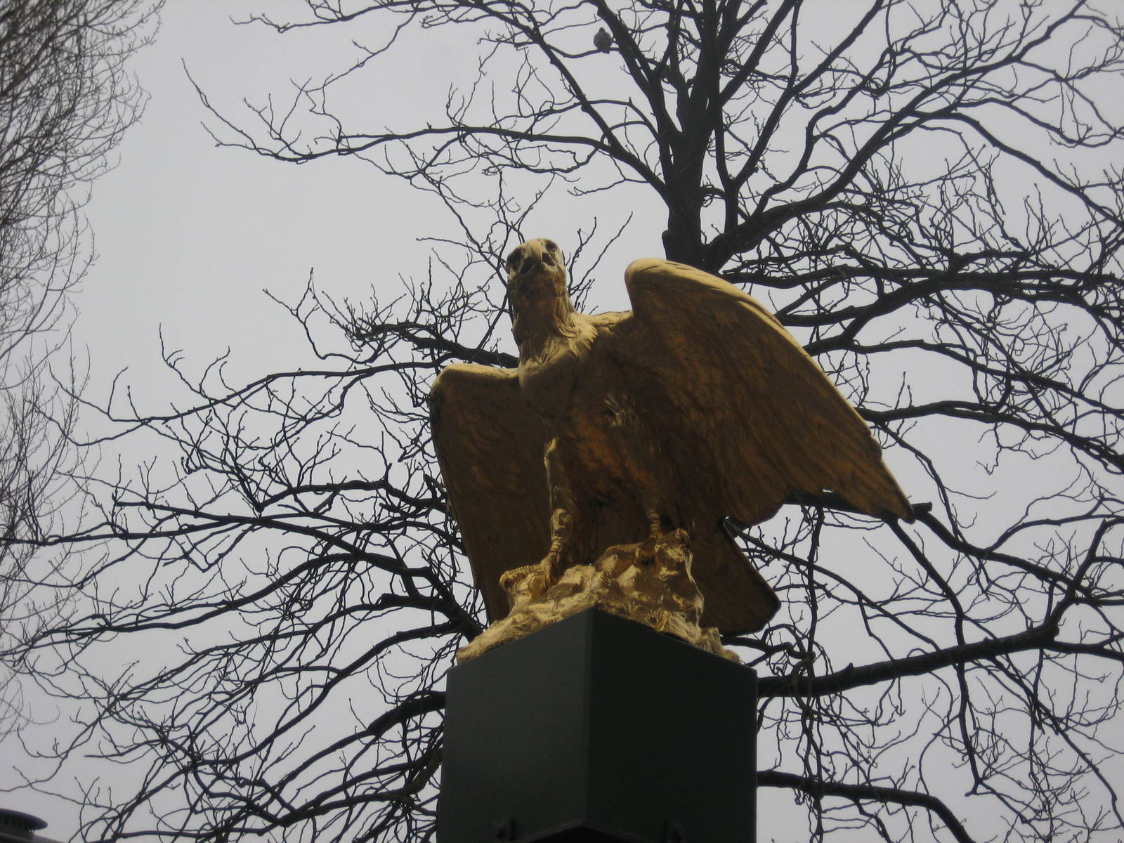 Eagle at the entrance