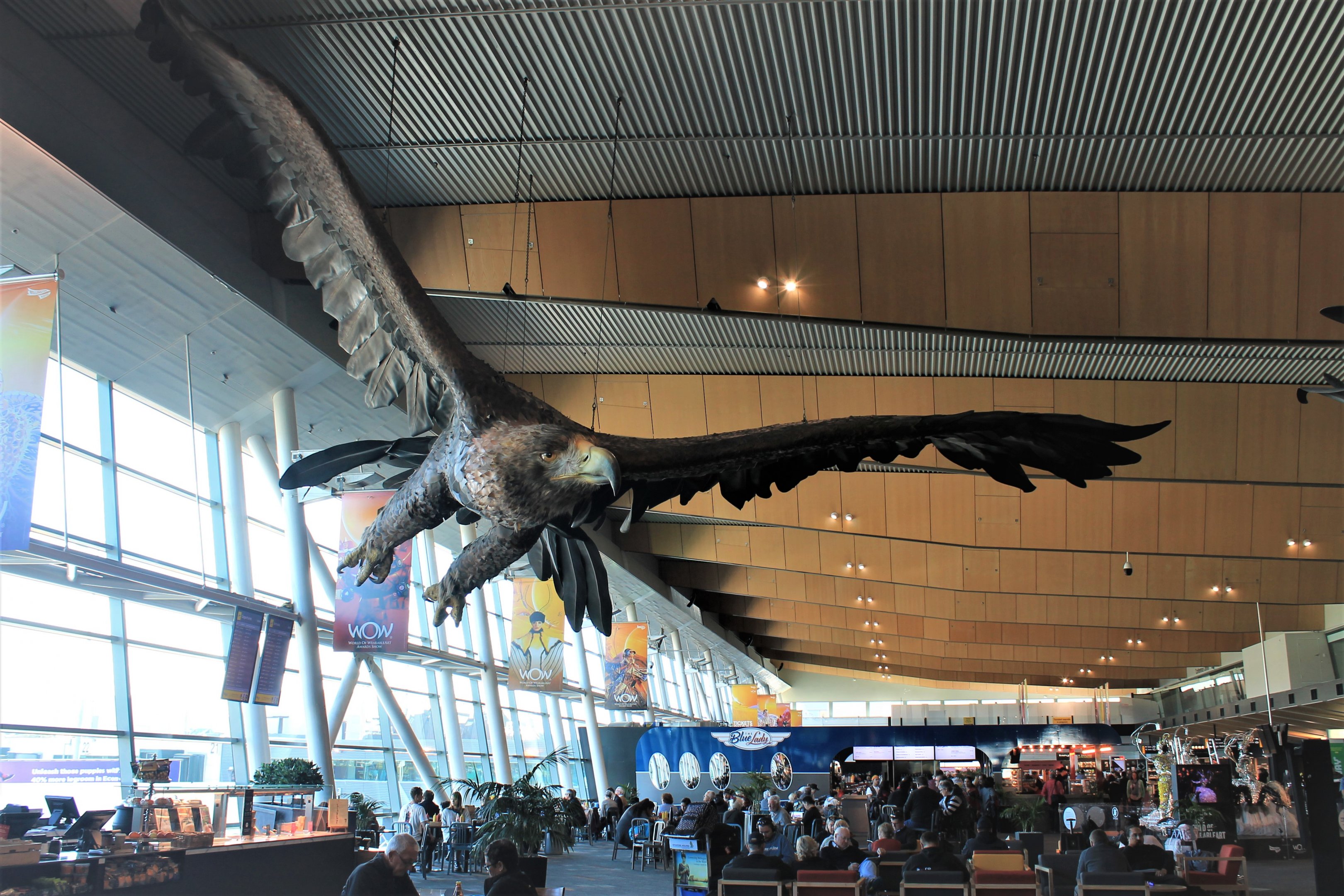 Eagle at Wellington Airport