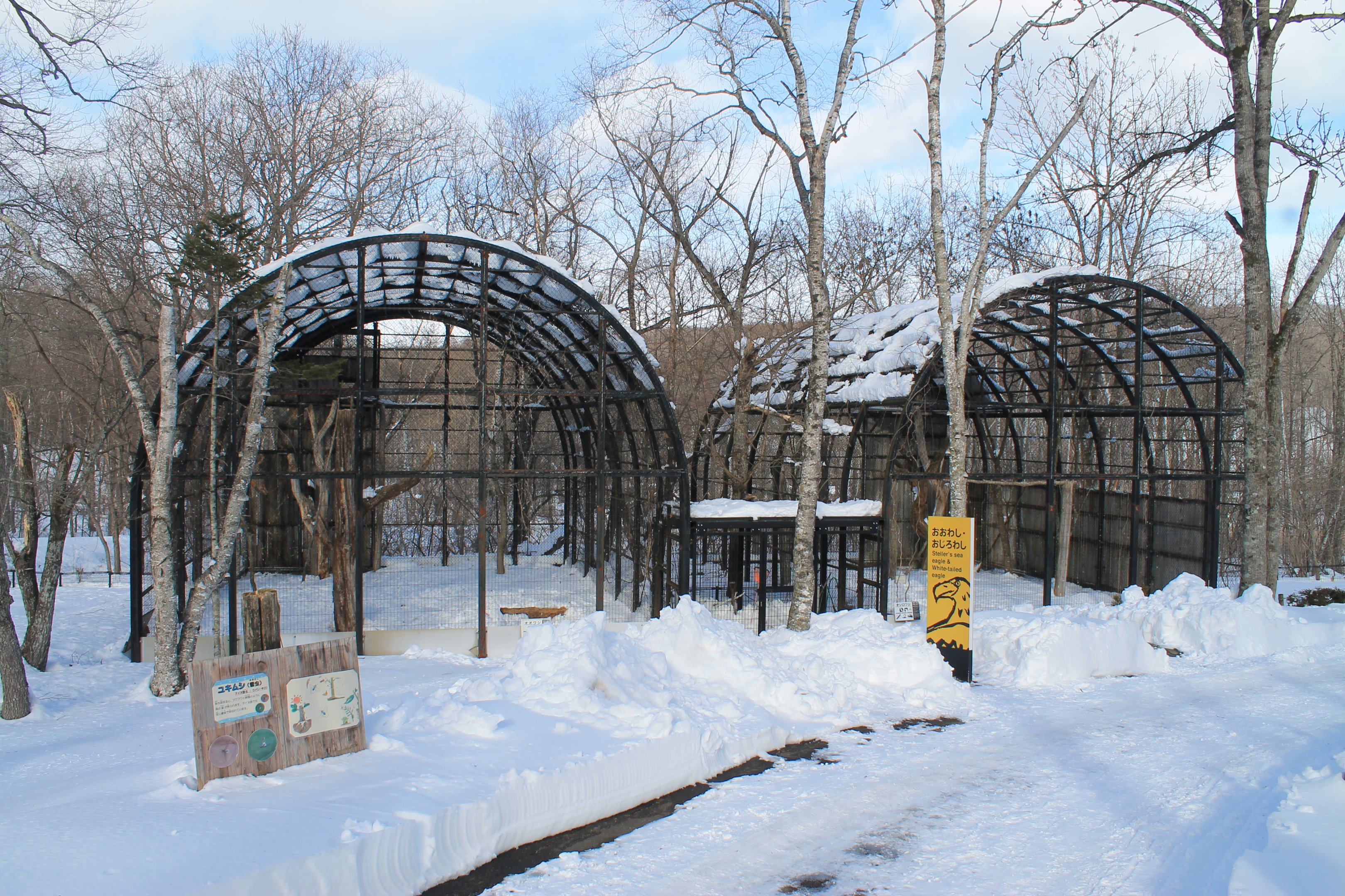 Eagle aviaries, Kushiro Zoo
