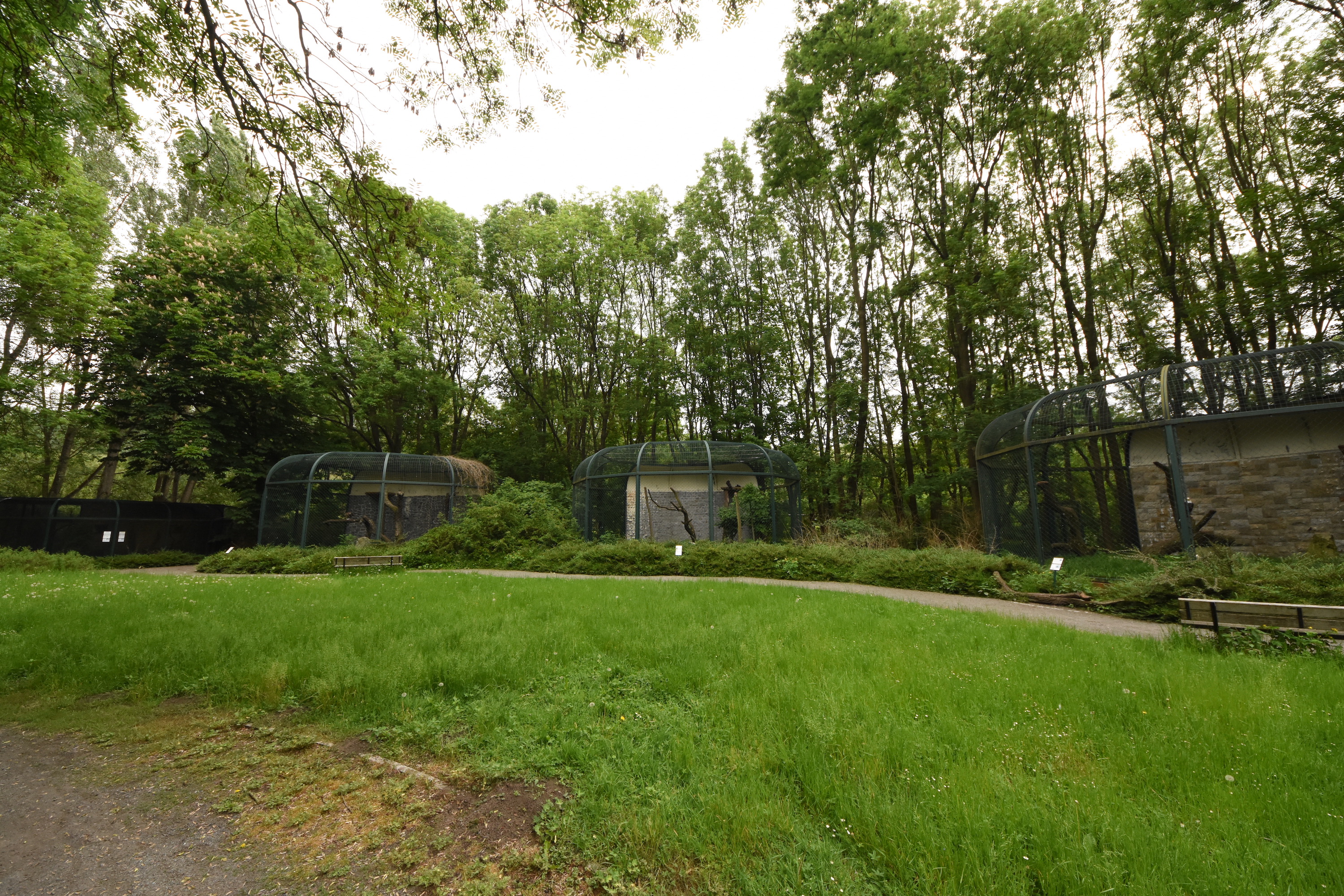 Eagle aviaries