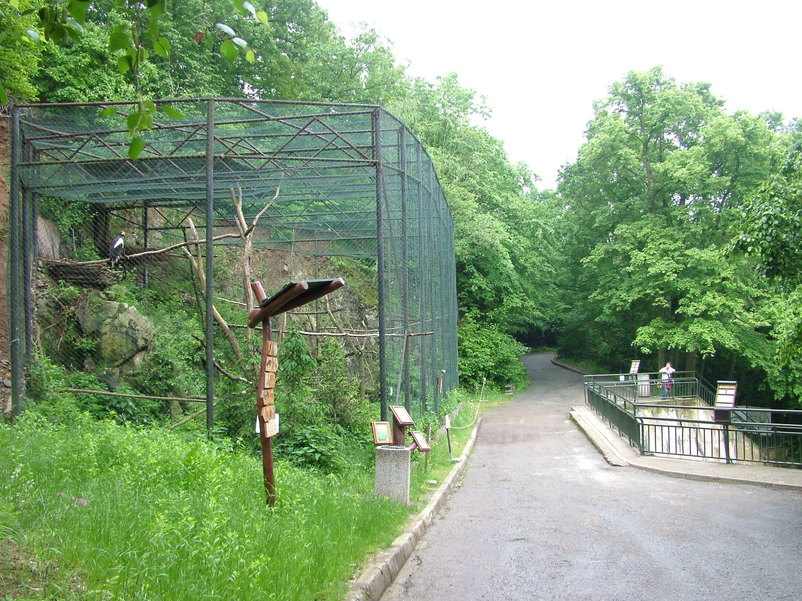 Eagle aviary and bear viewing at Brno, 27/05/10