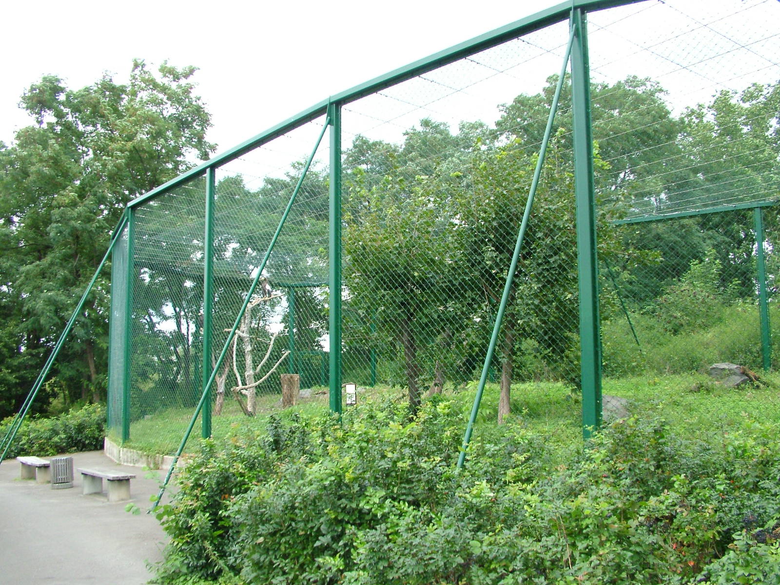Eagle Aviary at Tierpark Berlin, 30/08/11