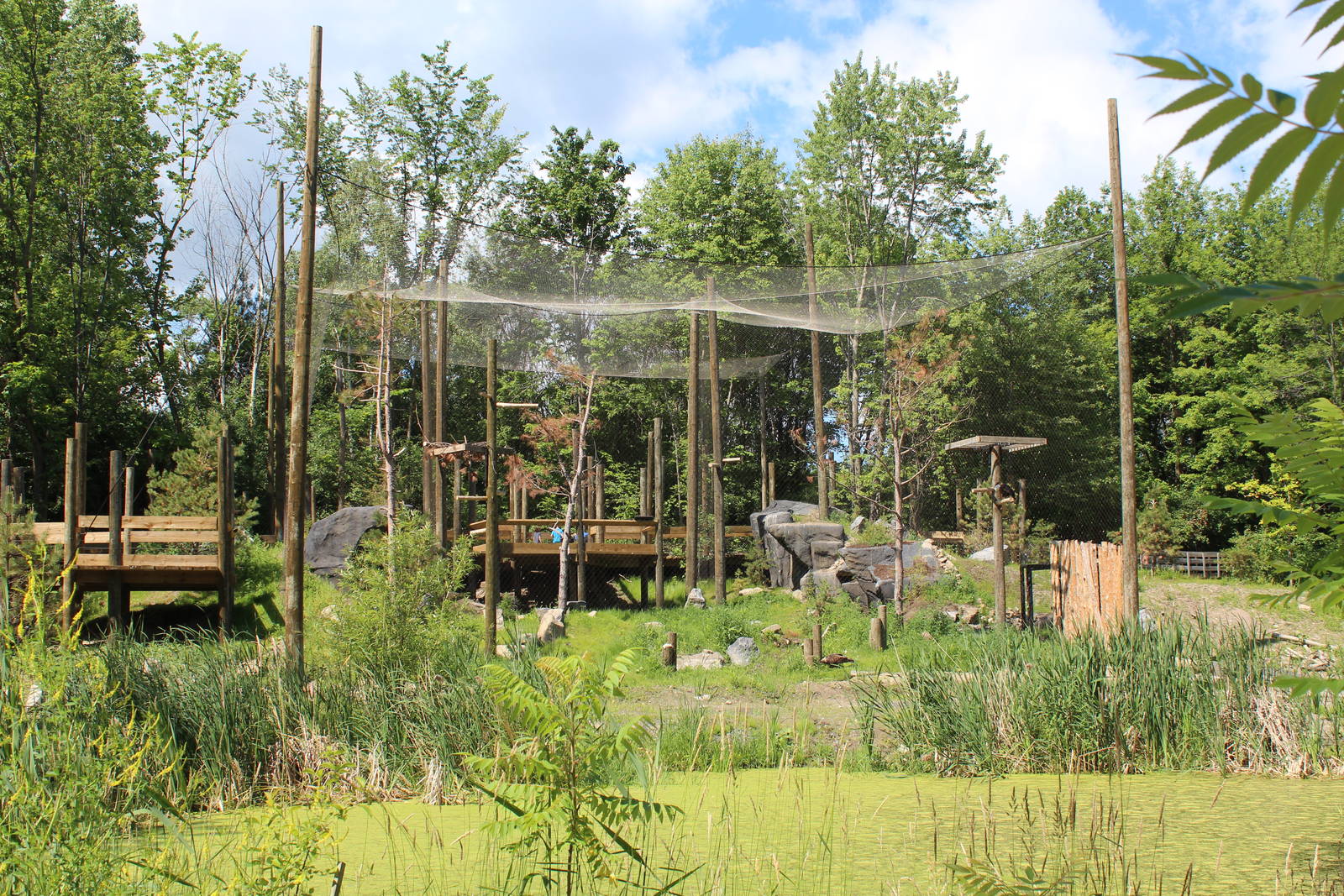 Eagle Aviary - June 2016