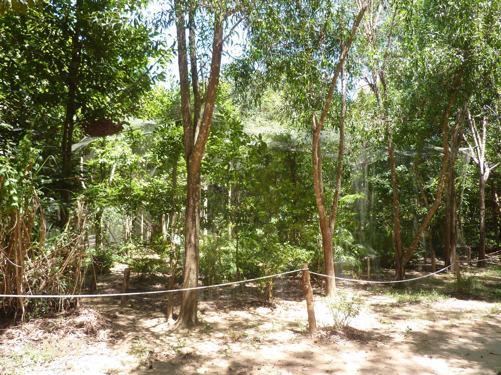 Eagle aviary, May 2013