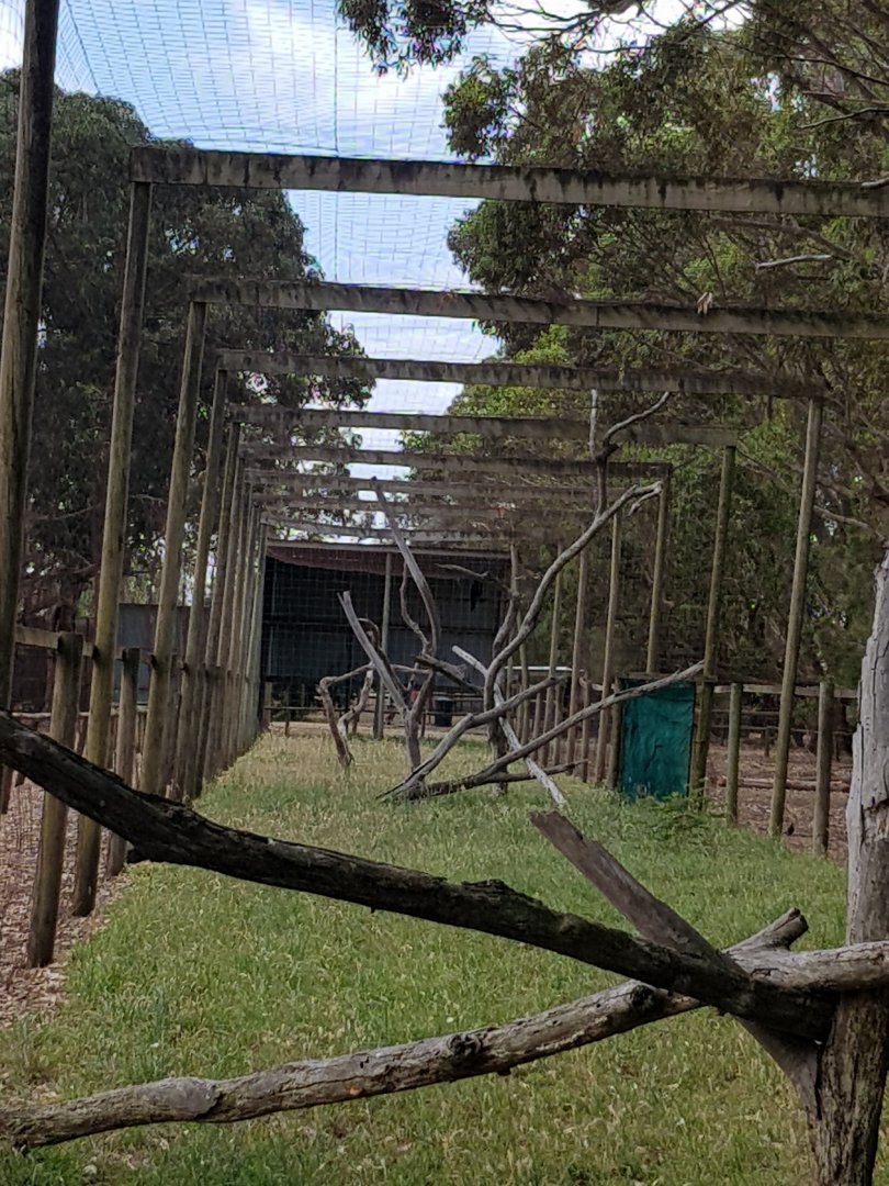 Eagle Aviary - Phillip Island Wildlife Park