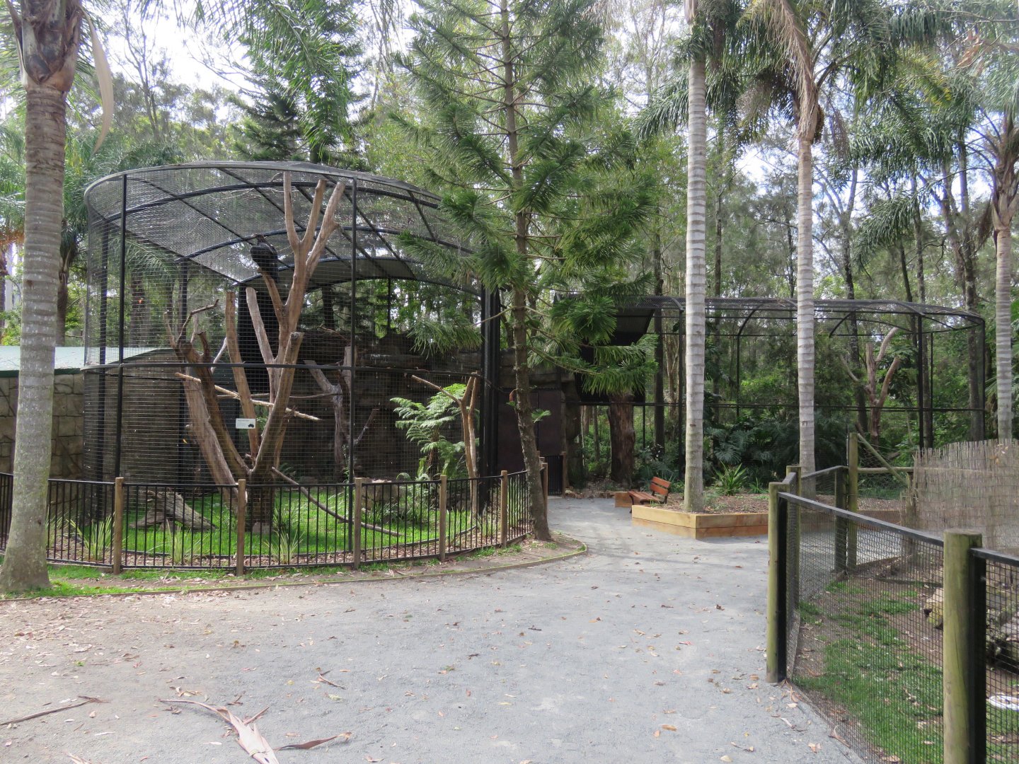 Eagle Aviary