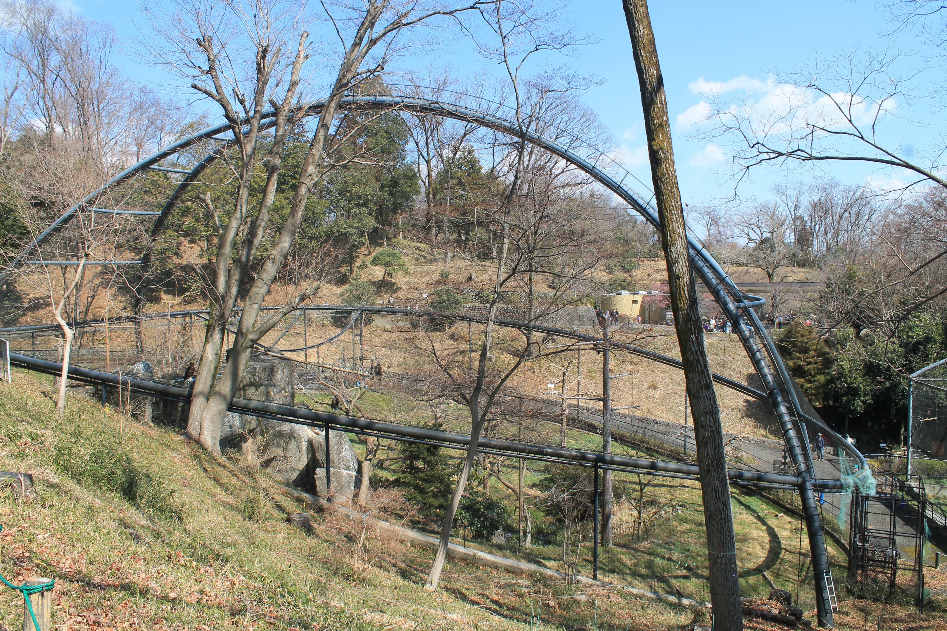 Eagle aviary