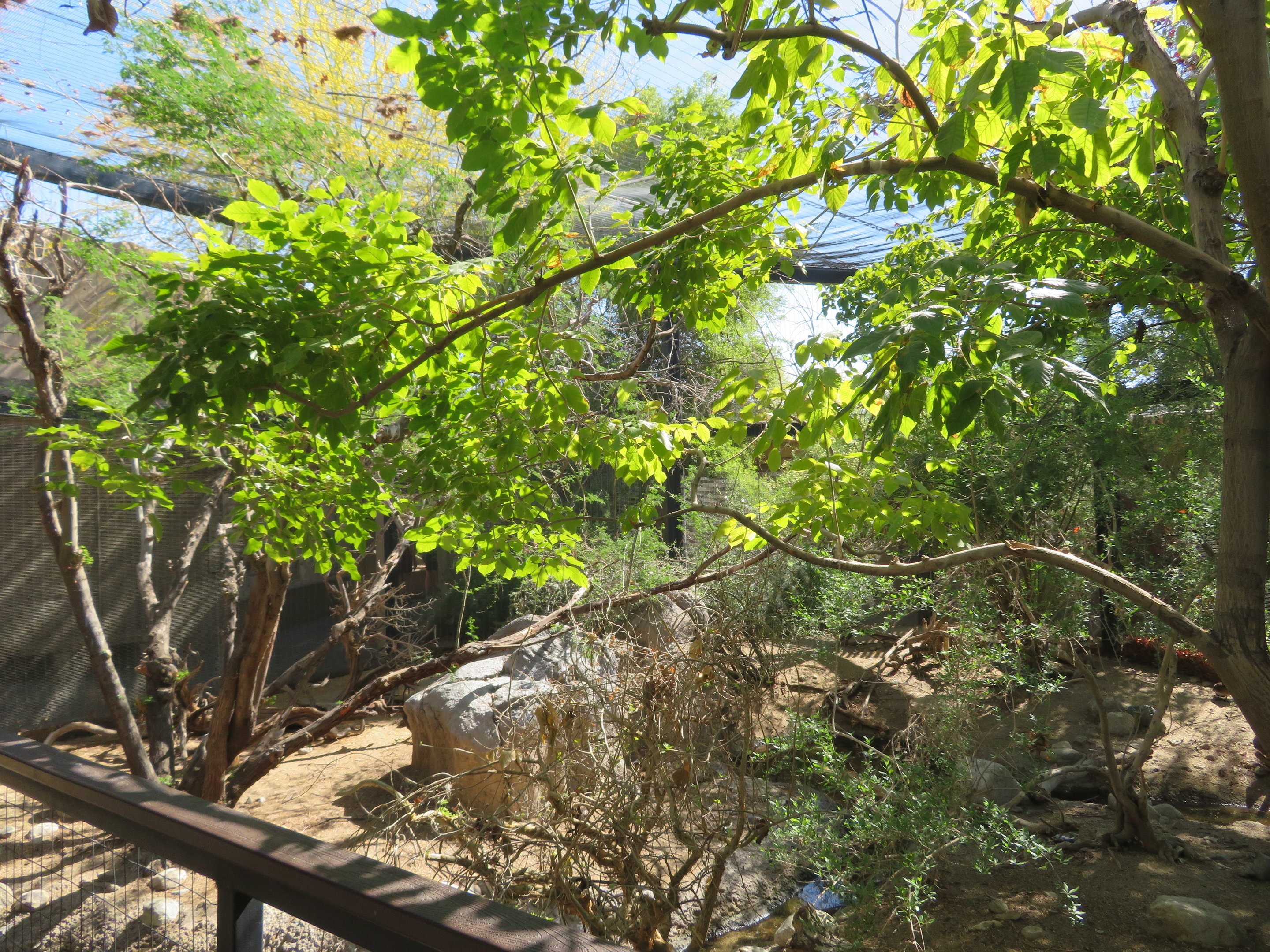 Eagle Canyon Aviary