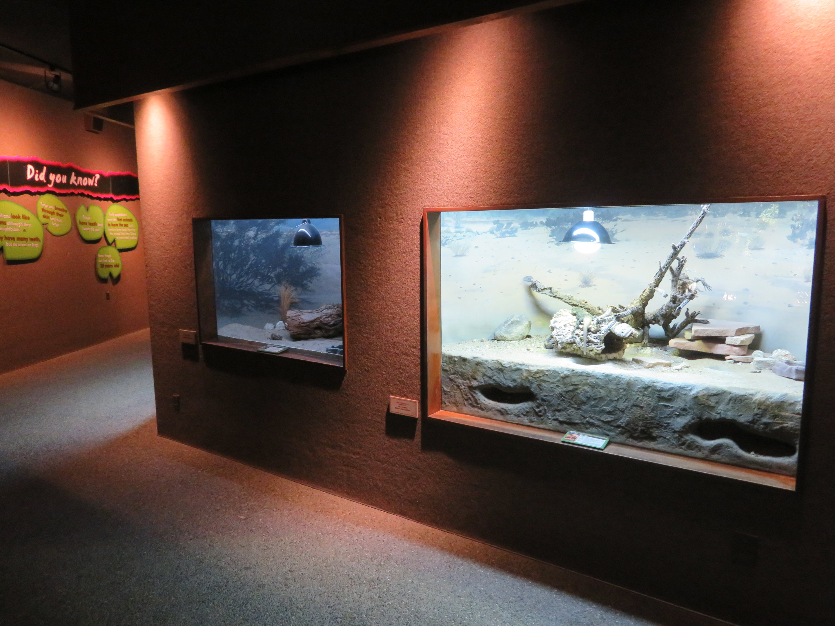 Eagle Canyon Building