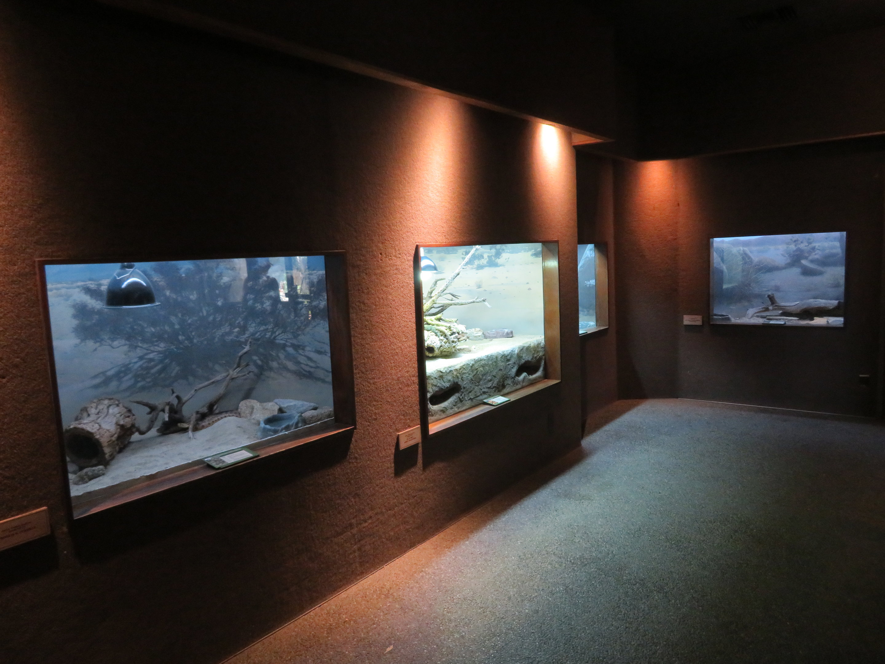 Eagle Canyon Building