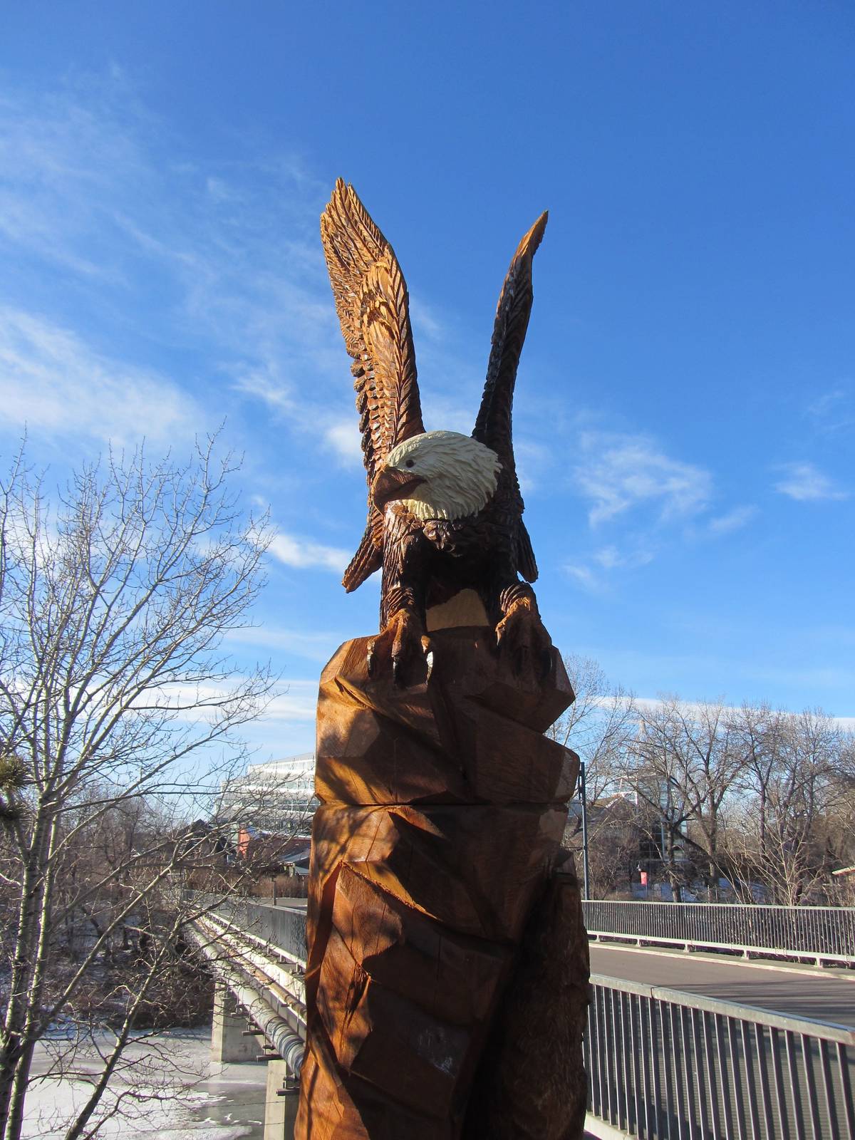 Eagle Carving
