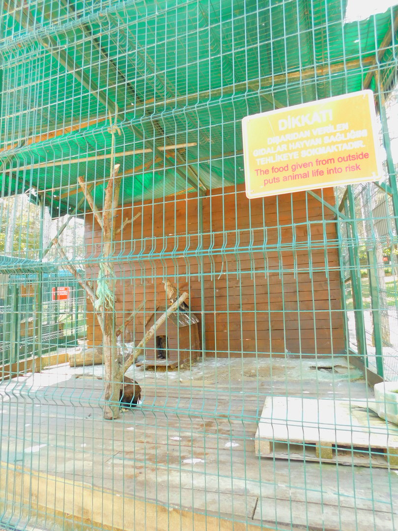 Eagle Enclosure at Park Of Istanbul
