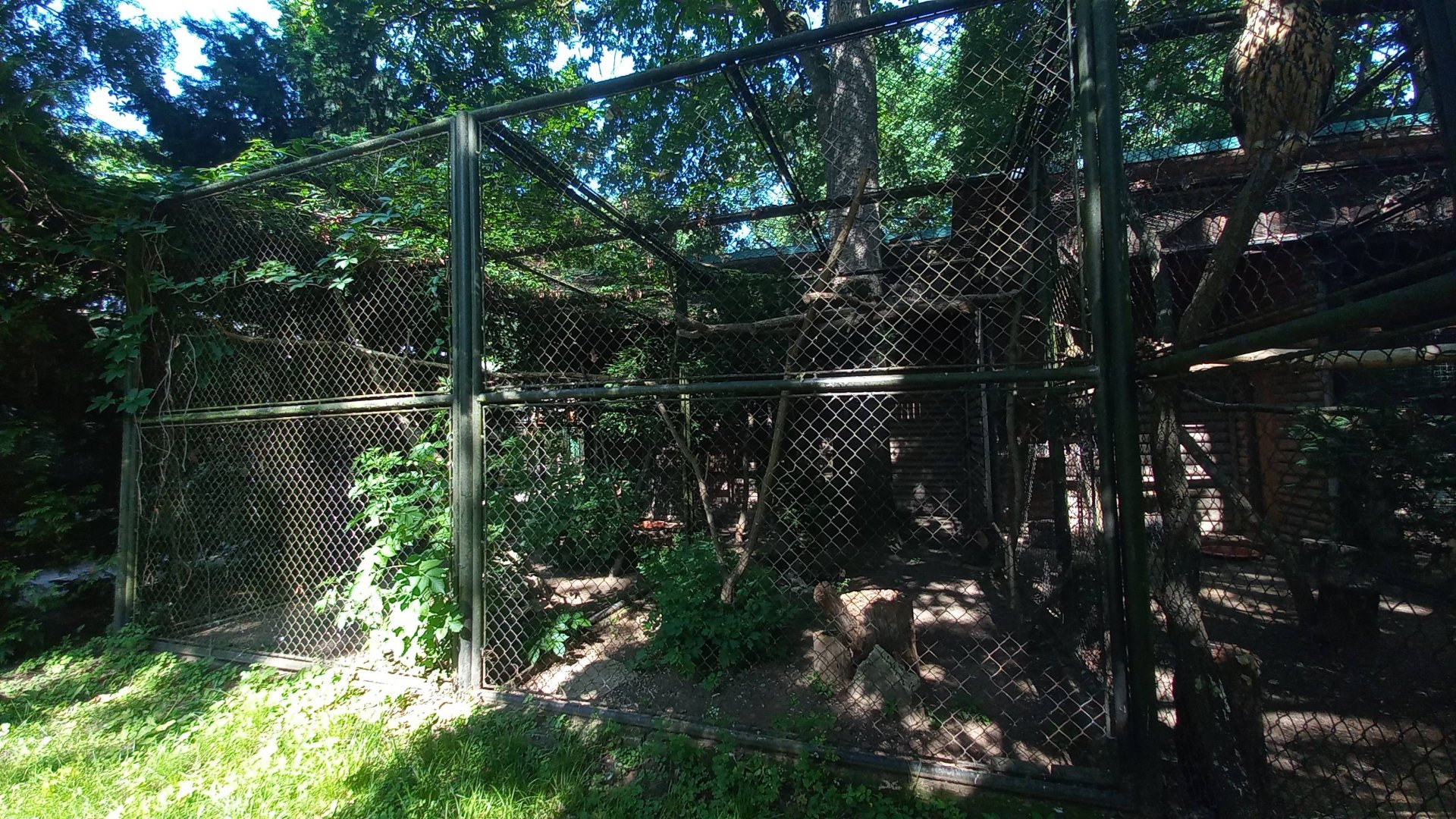 Eagle - exhibit