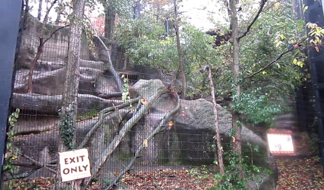Eagle Eyrie-Andean Condor aviary-From Below