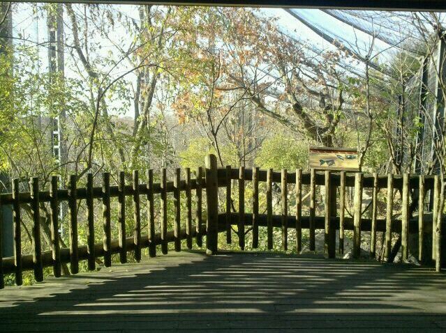 Eagle Eyrie-Andean Condor exhibit