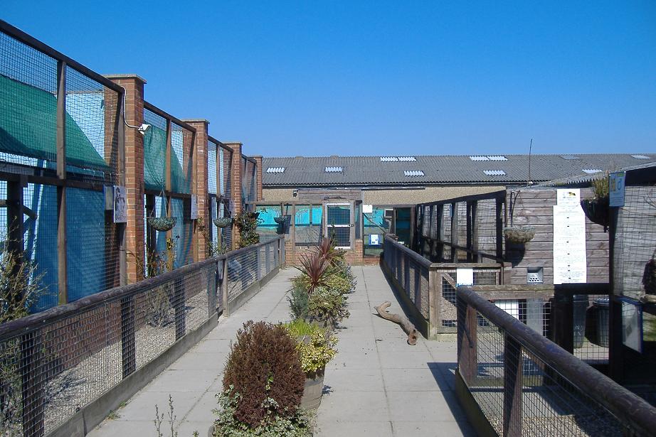 Eagle Heights aviaries