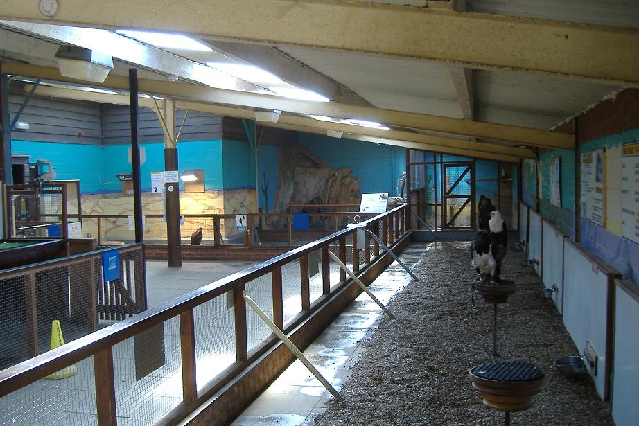 Eagle Heights interior