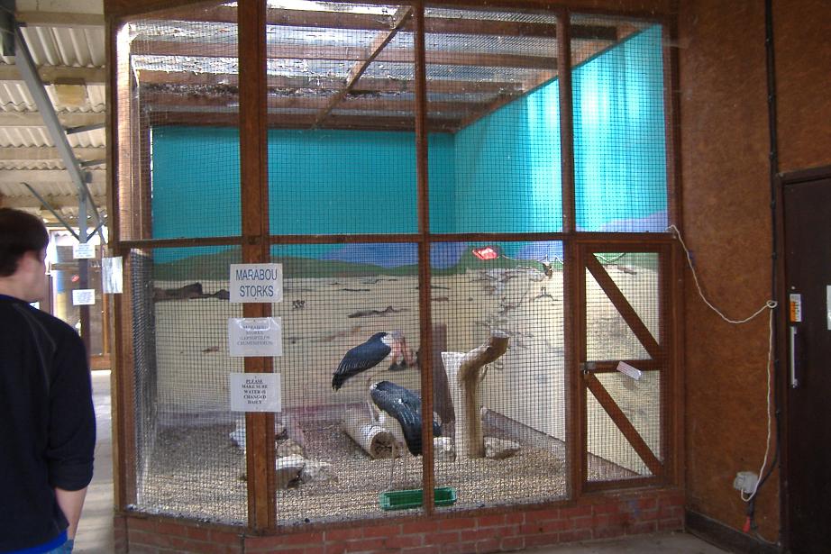 Eagle Heights Marabus