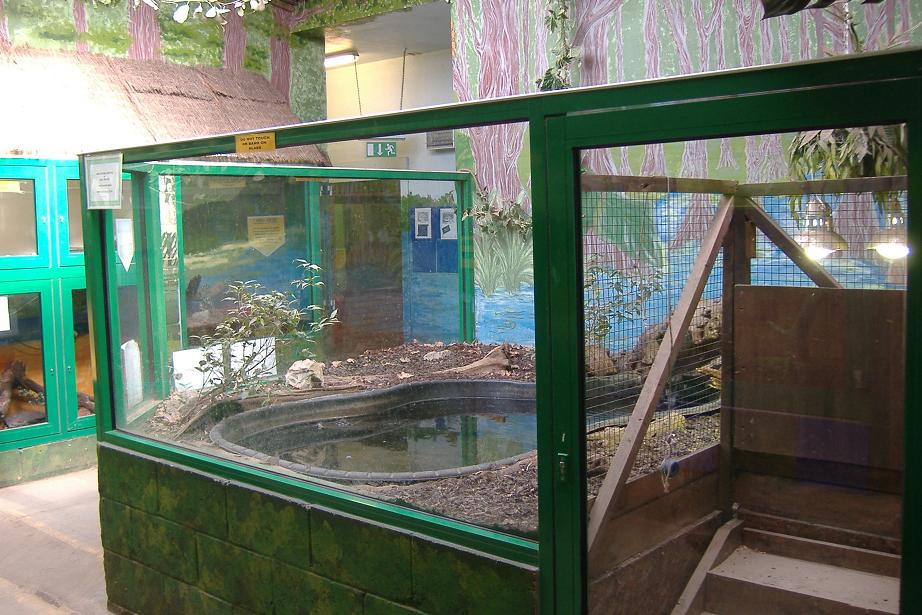 Eagle heights reptile House