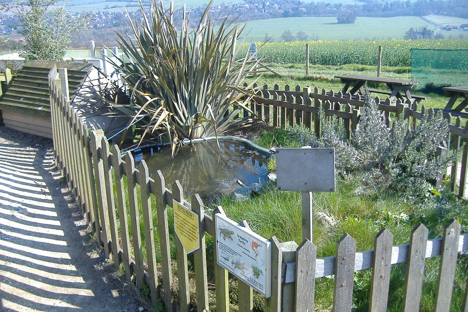 Eagle Heights turtle pen