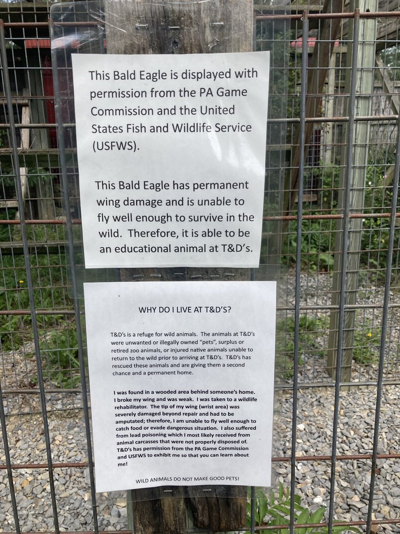 Eagle Information Signs