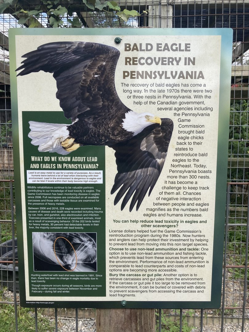 Eagle Information Signs
