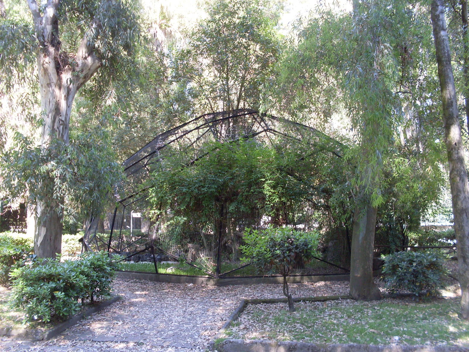 Eagle owl aviary Zoo di Napoli 2012
