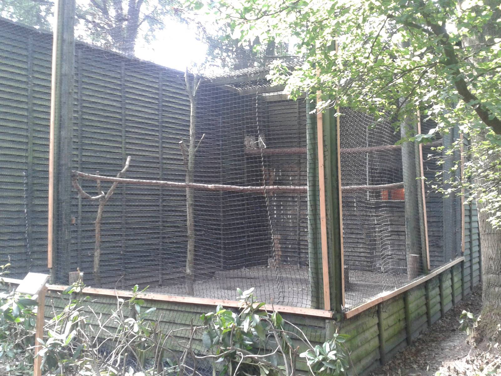 Eagle owl aviary