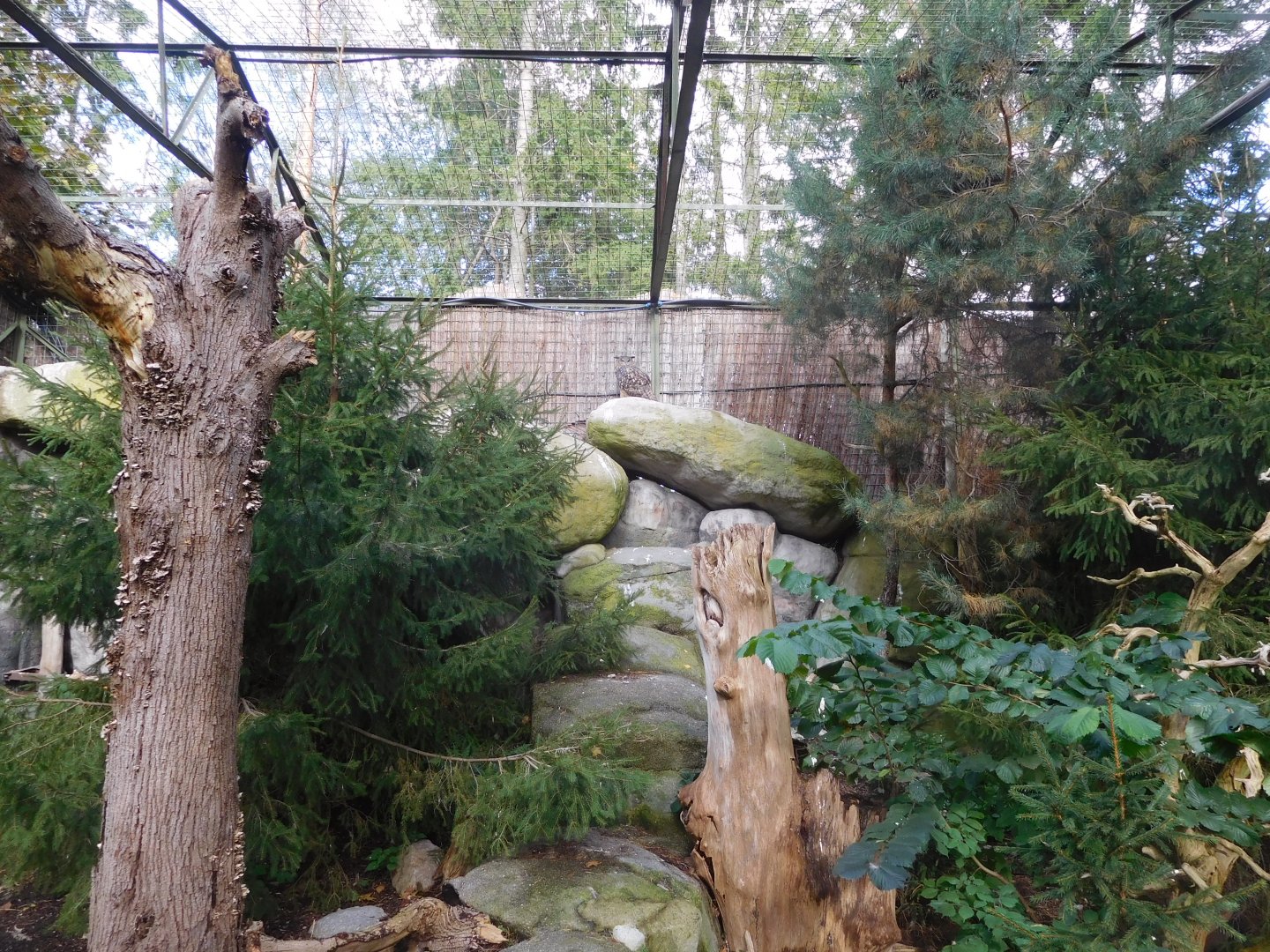 Eagle owl aviary