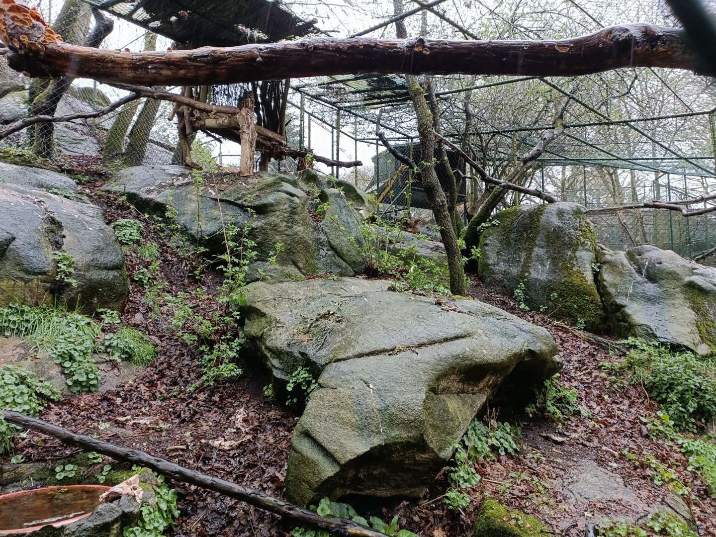 Eagle owl exhibit- Avifauna Lugo