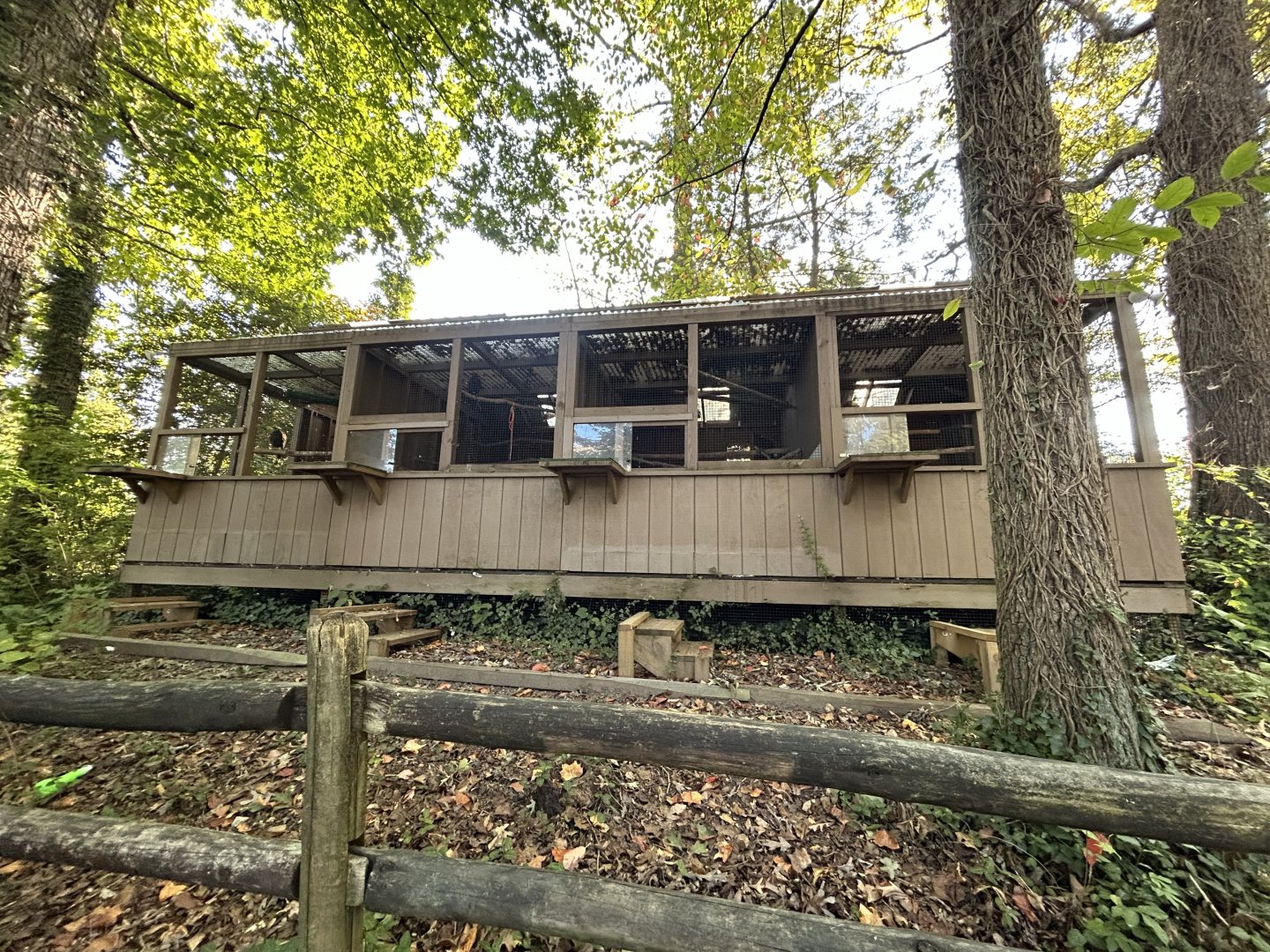 Eagle Owl, Harris’ Hawk & American Crow Exhibits