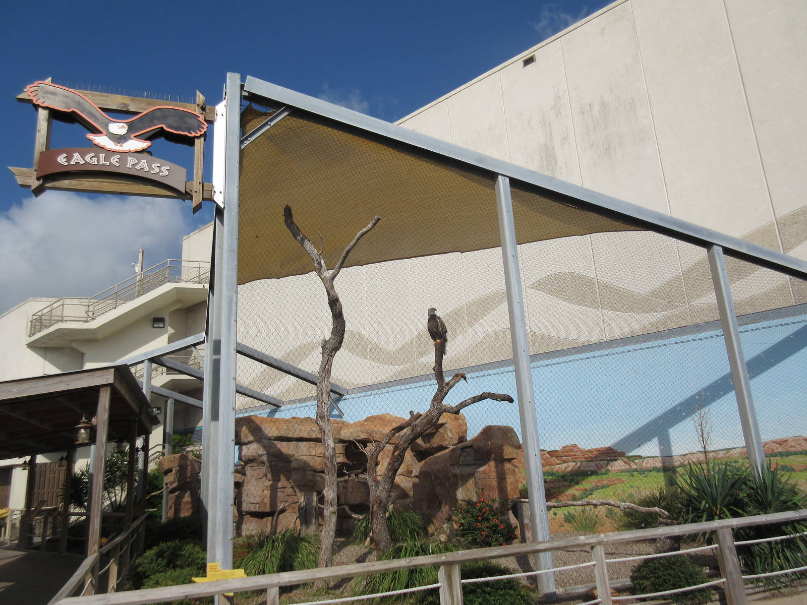 Eagle Pass - Bald Eagle Exhibit