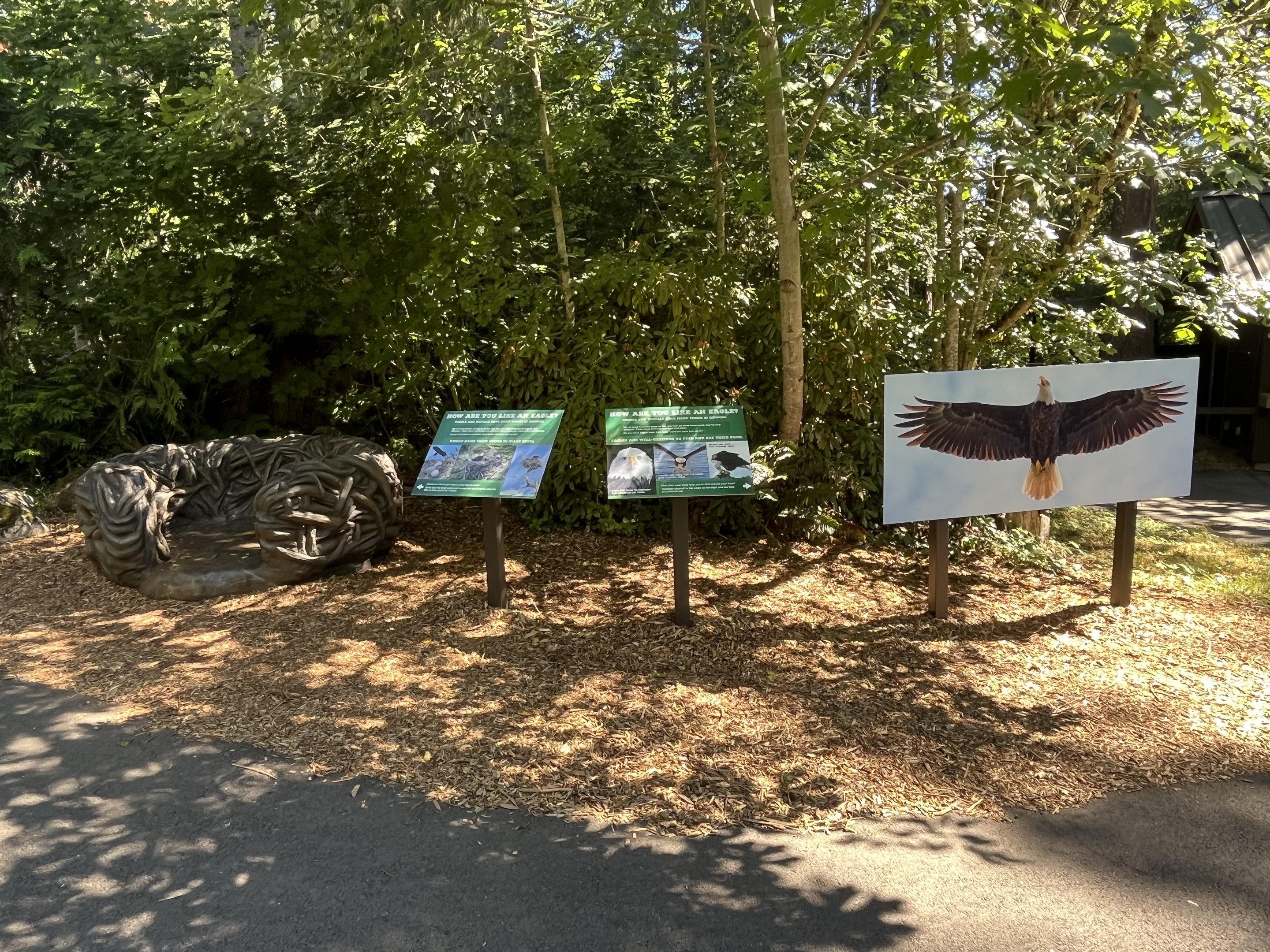 Eagle Passage - New in 2019