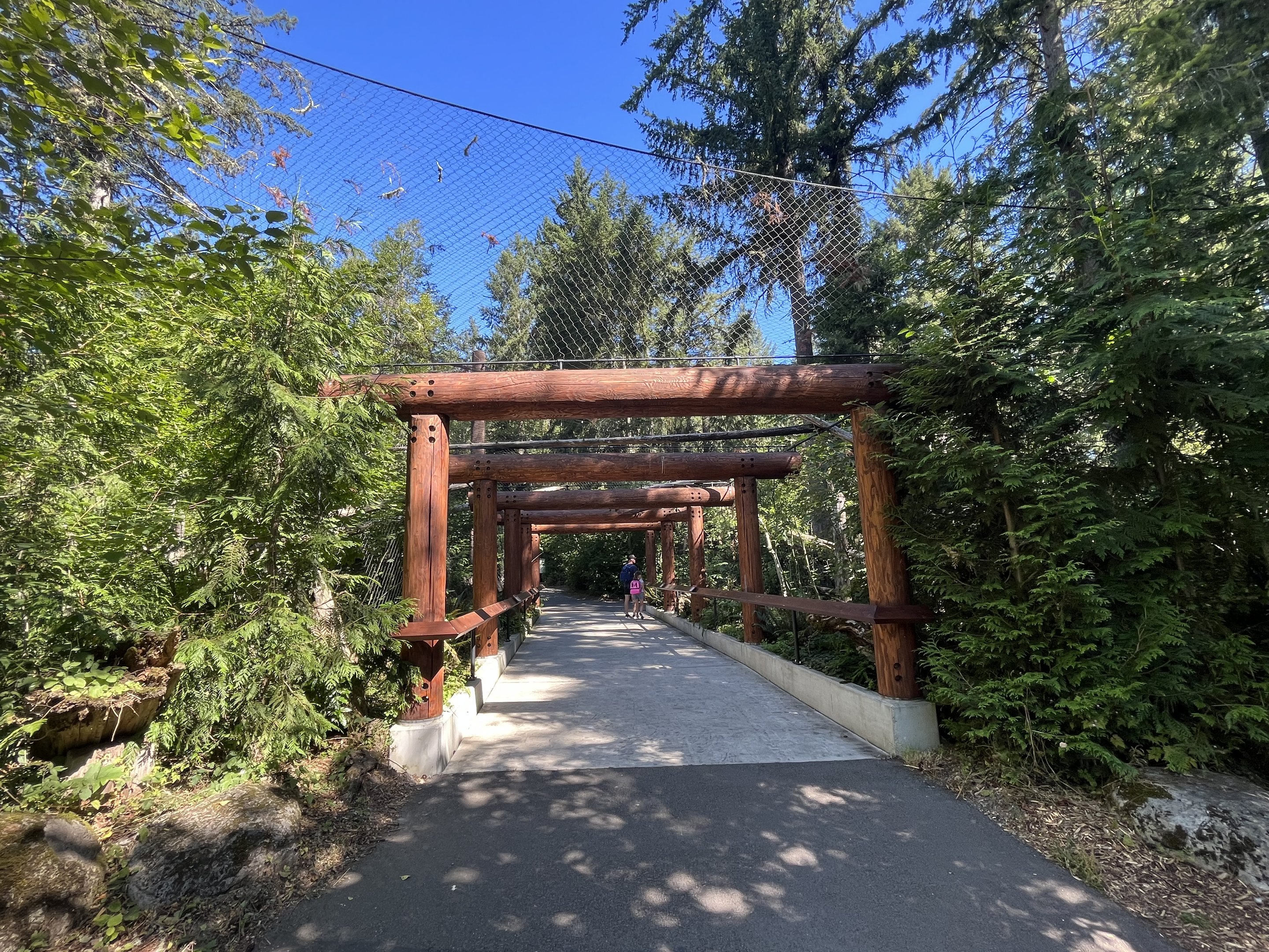 Eagle Passage - New in 2019